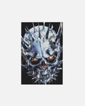 VERTEBRAE 12x18 POSTER